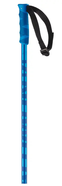 Salomon Hacker Ski Poles