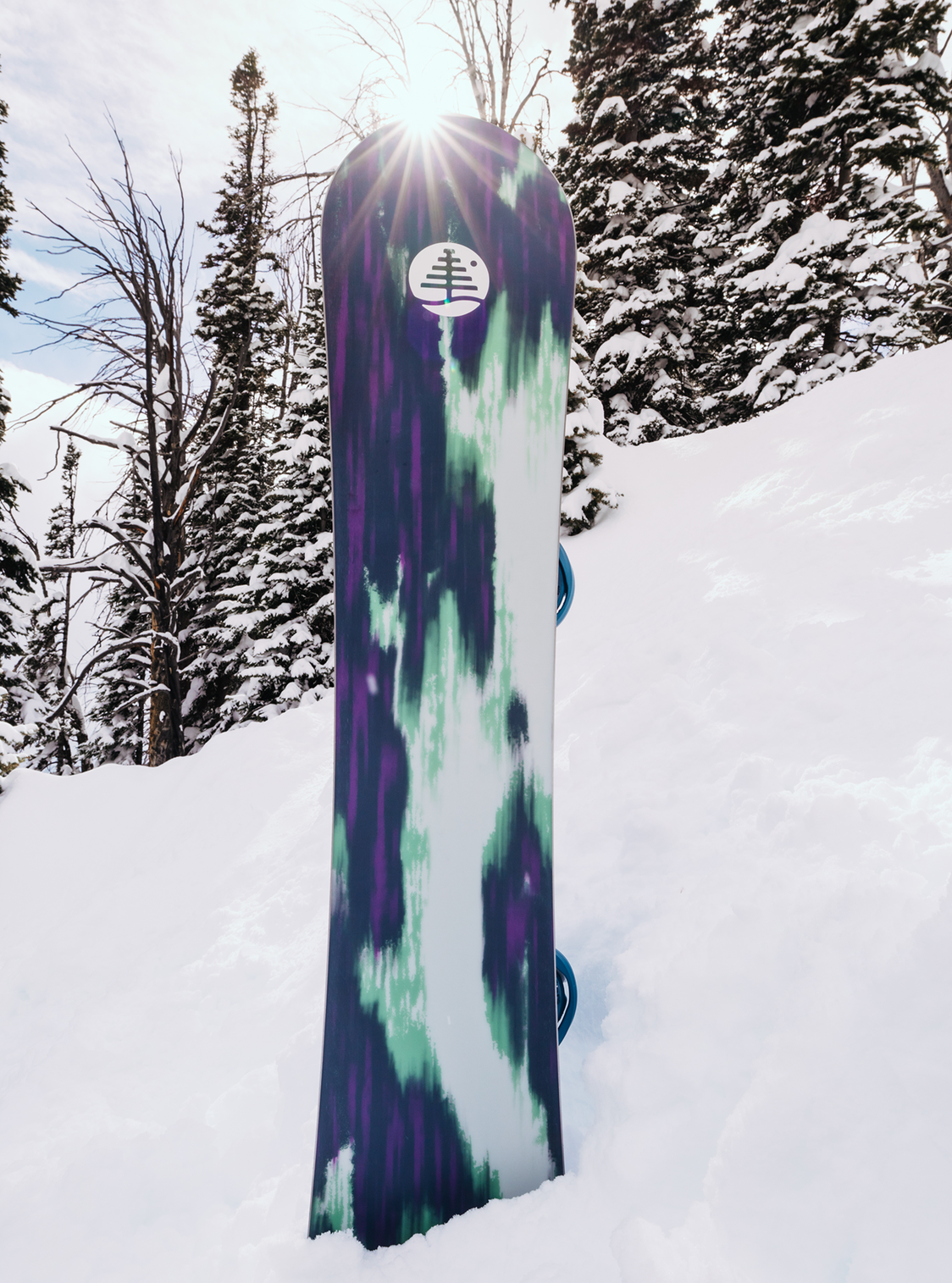 Burton Family Tree Alekesam Snowboard 2026