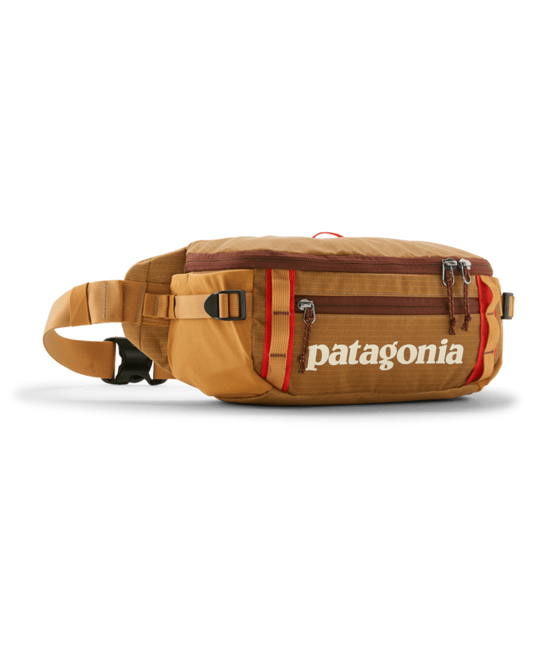 Patagonia Black Hole Waist Pack 5L