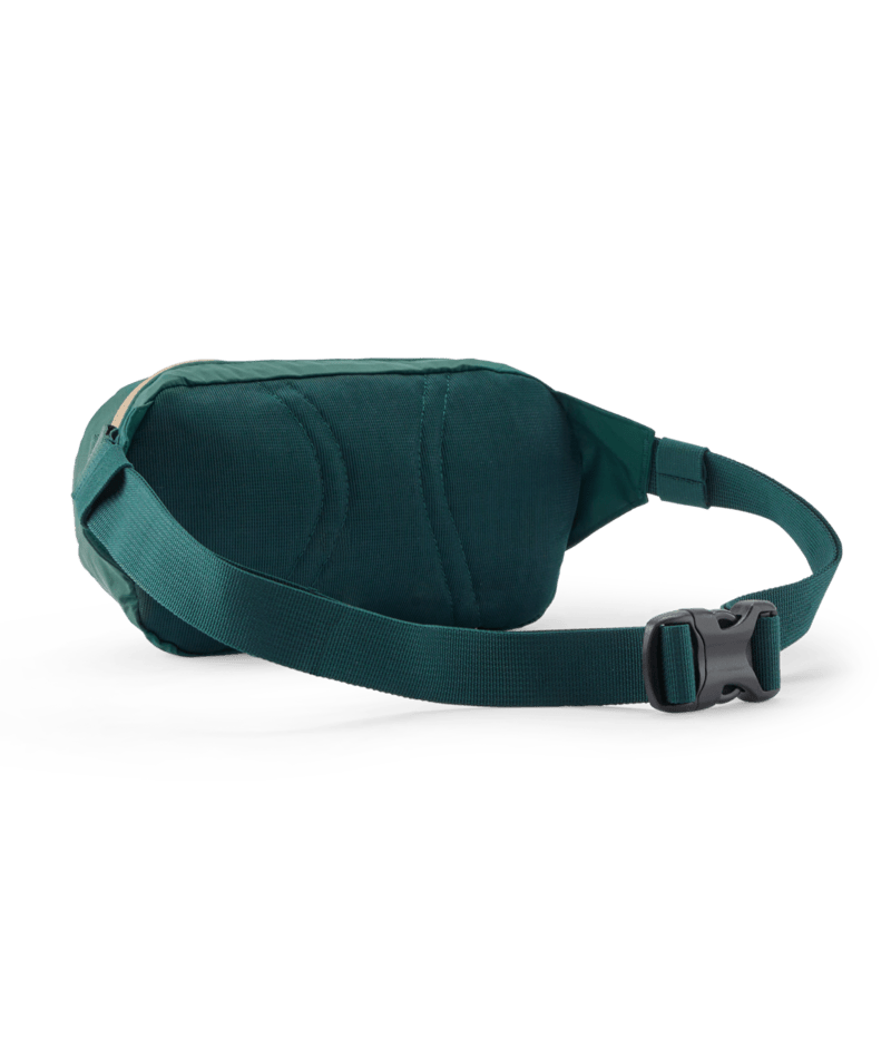Patagonia Teravia Mini Hip Pack