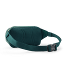 Patagonia Teravia Mini Hip Pack