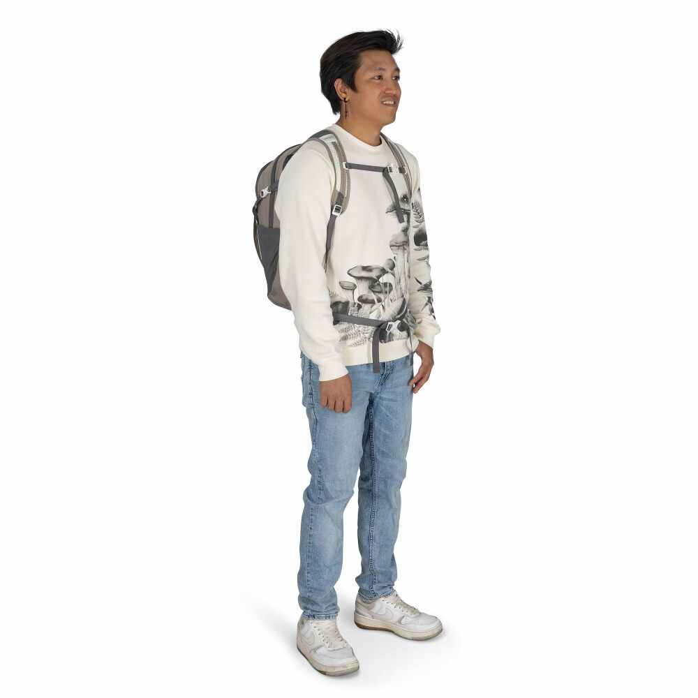 Osprey Daylite Plus Backpack 20L