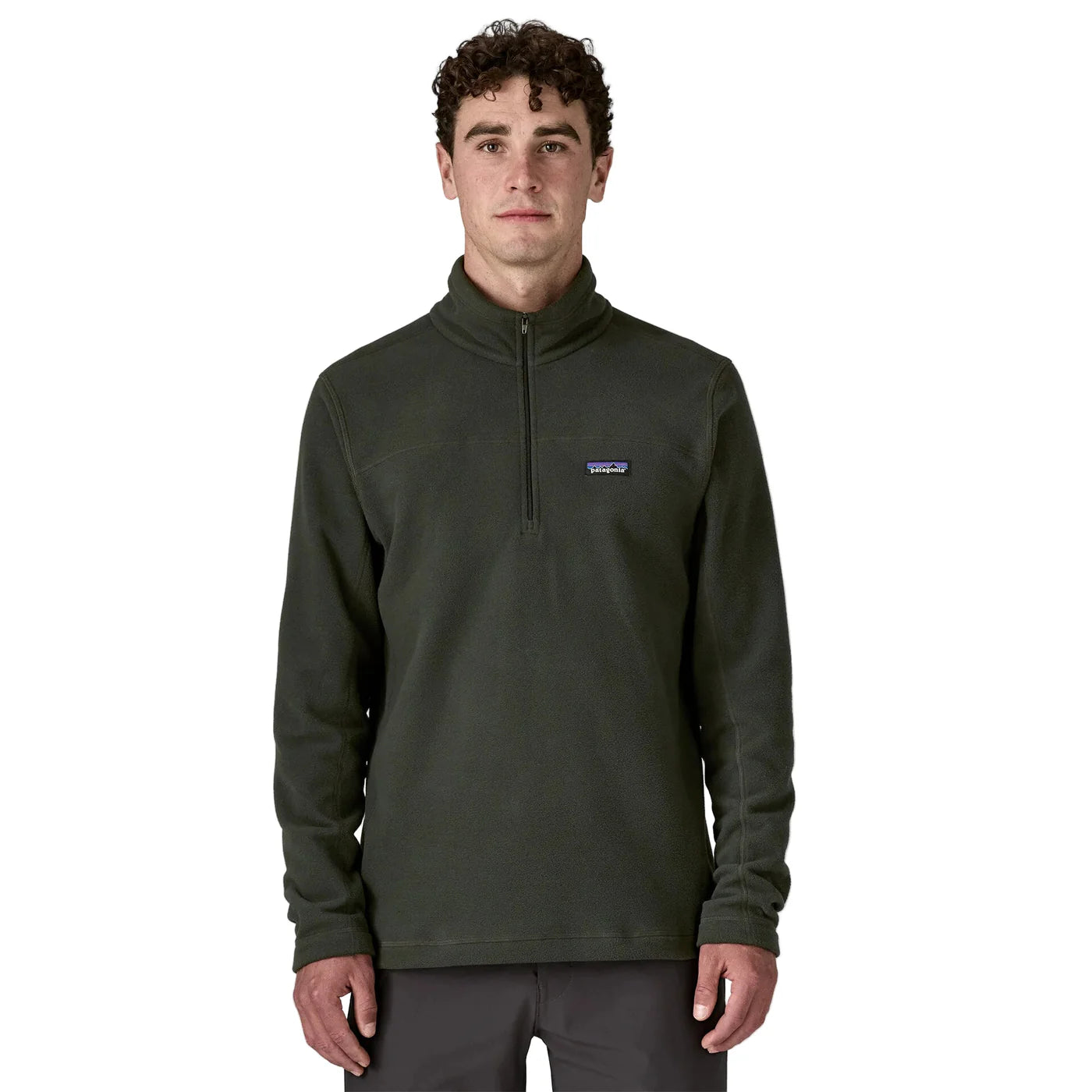 Patagonia Mens Micro D Pull Over