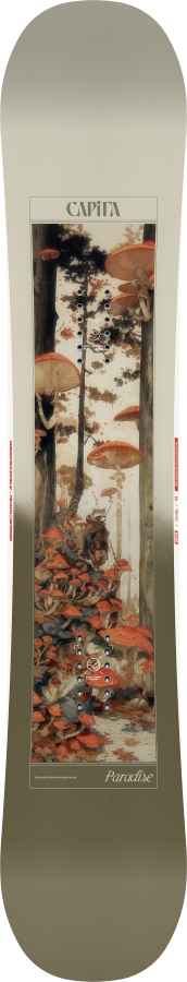 capita paradise