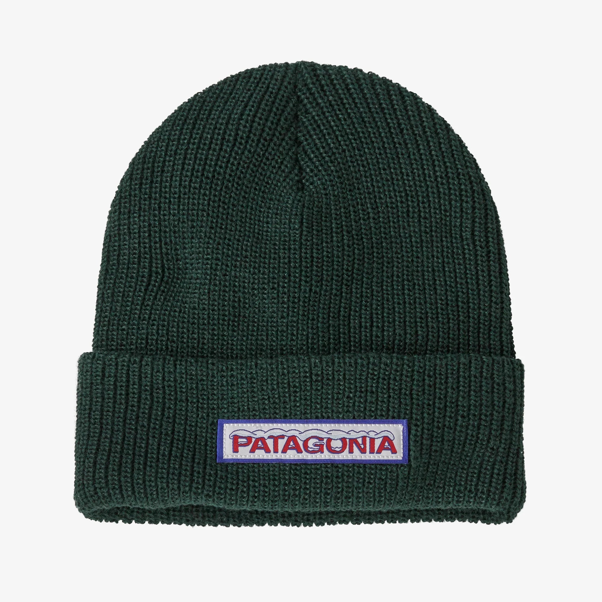 Patagonia Kids Logo Baenie