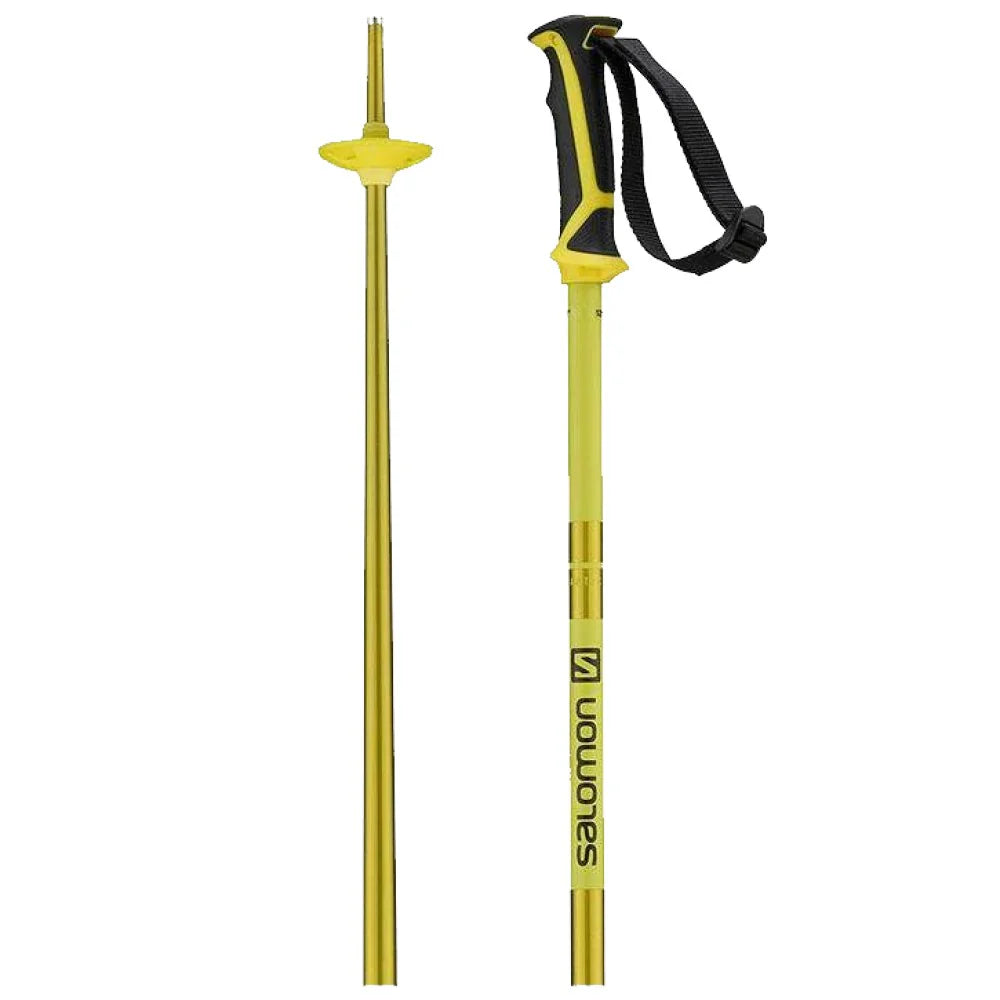 Salomon Artic Ski Poles