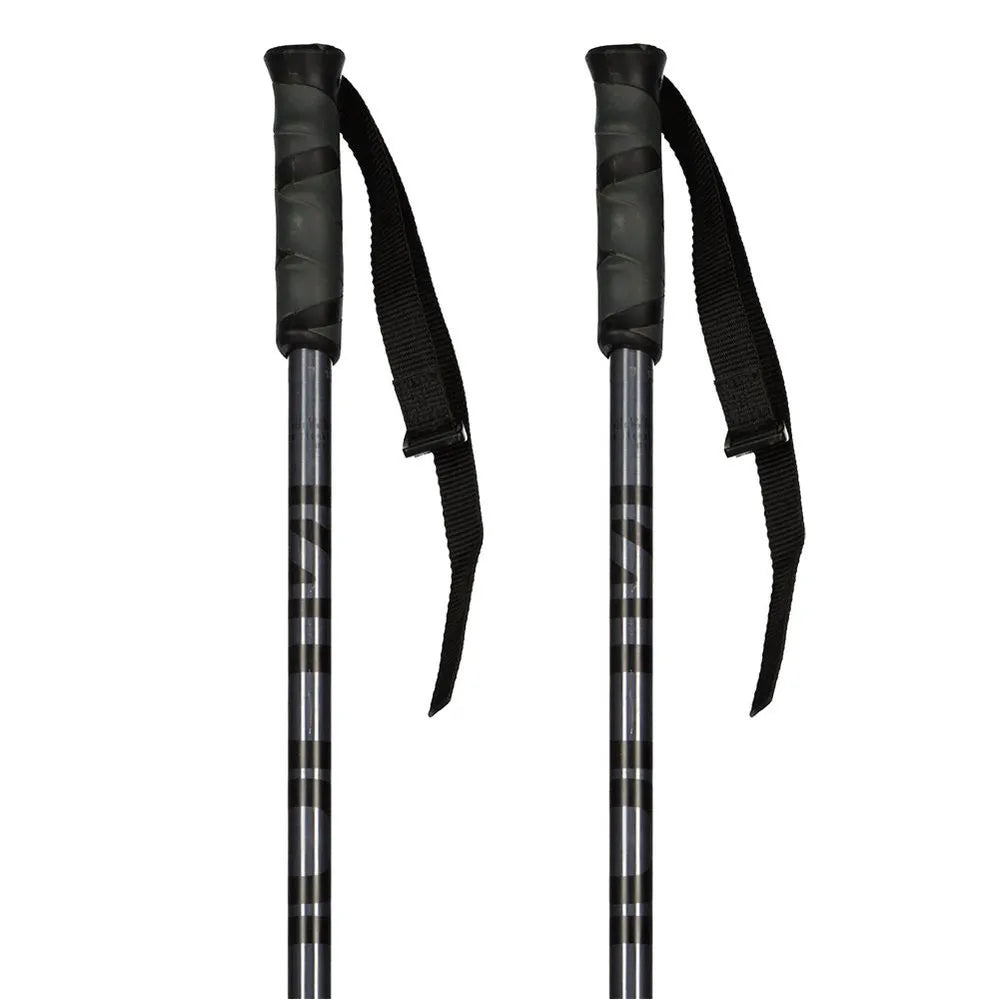 Salomon Hacker Ski Poles