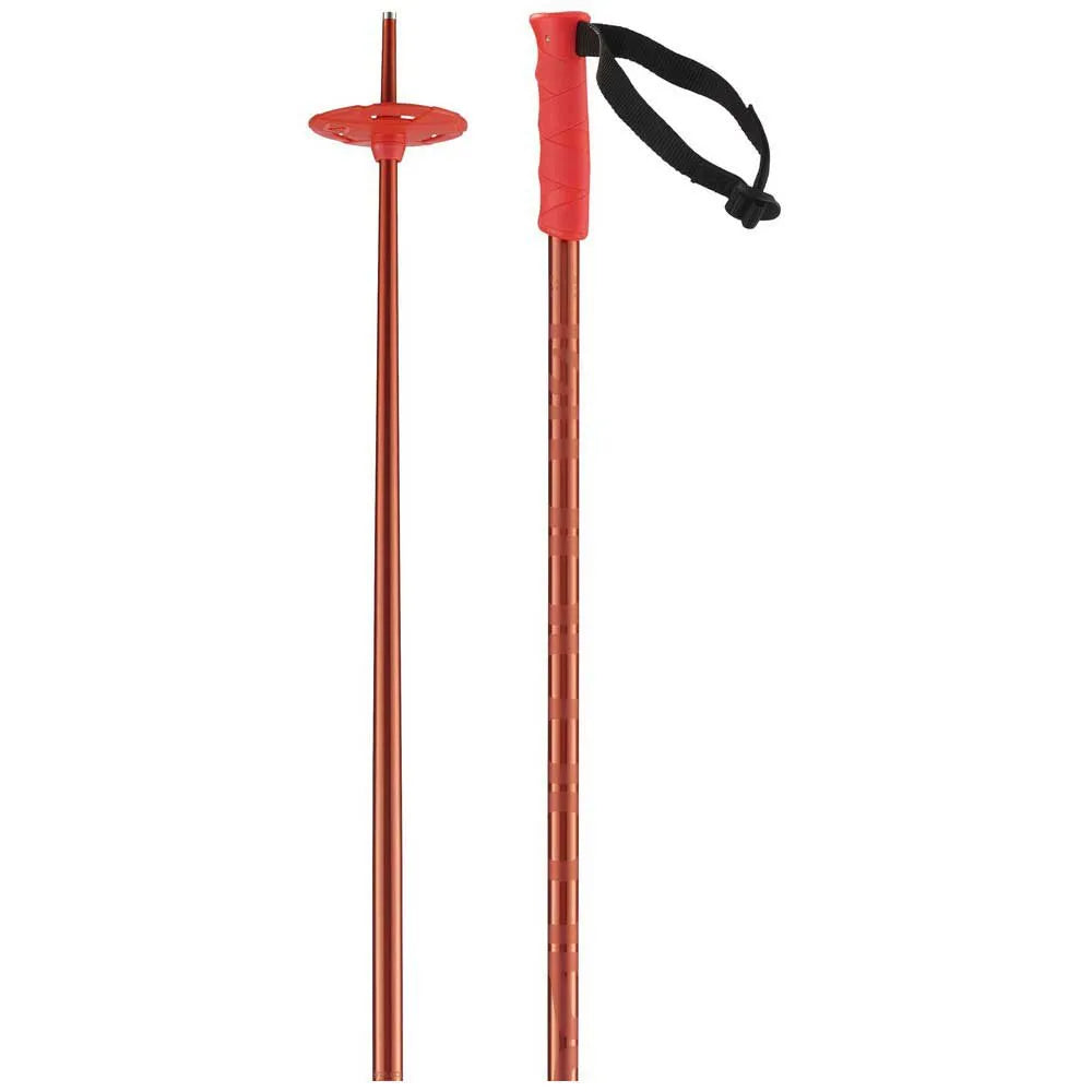 Salomon Hacker Ski Poles