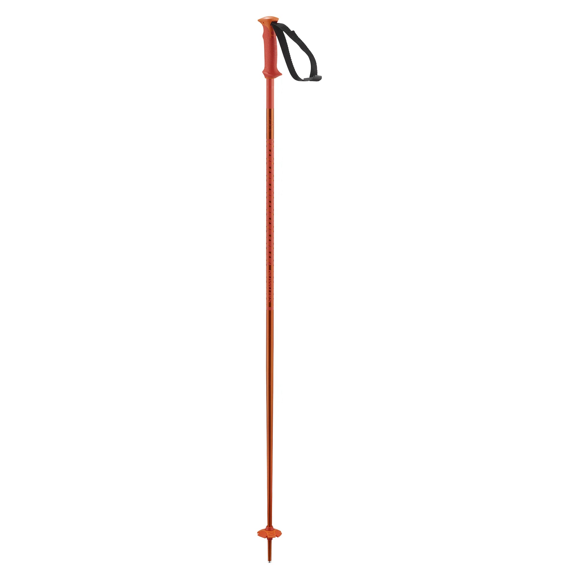 Salomon Polar Ski Poles