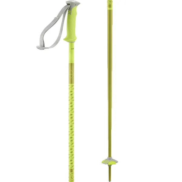 Salomon Polar Ski Poles