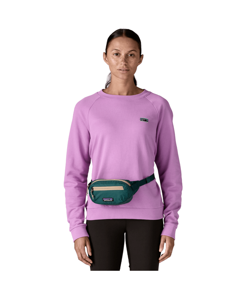 Patagonia Teravia Mini Hip Pack