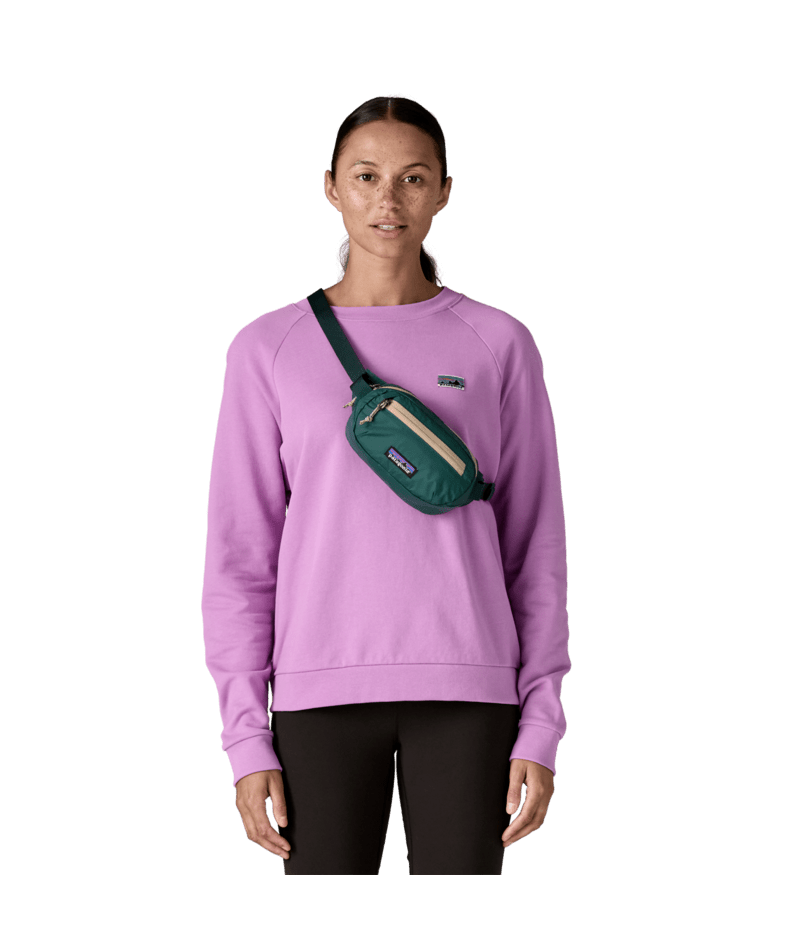 Patagonia Teravia Mini Hip Pack