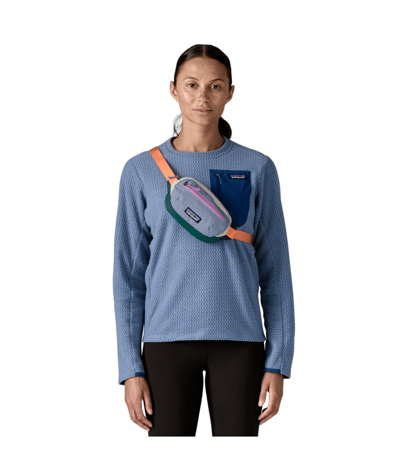 Patagonia Teravia Mini Hip Pack