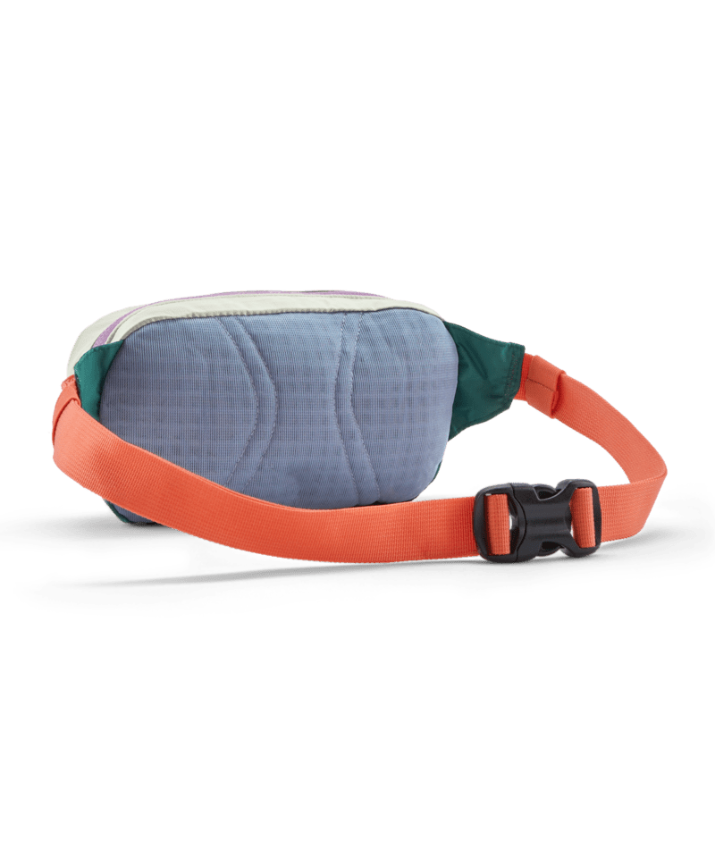 Patagonia Teravia Mini Hip Pack