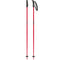 Atomic AMT Ski Poles