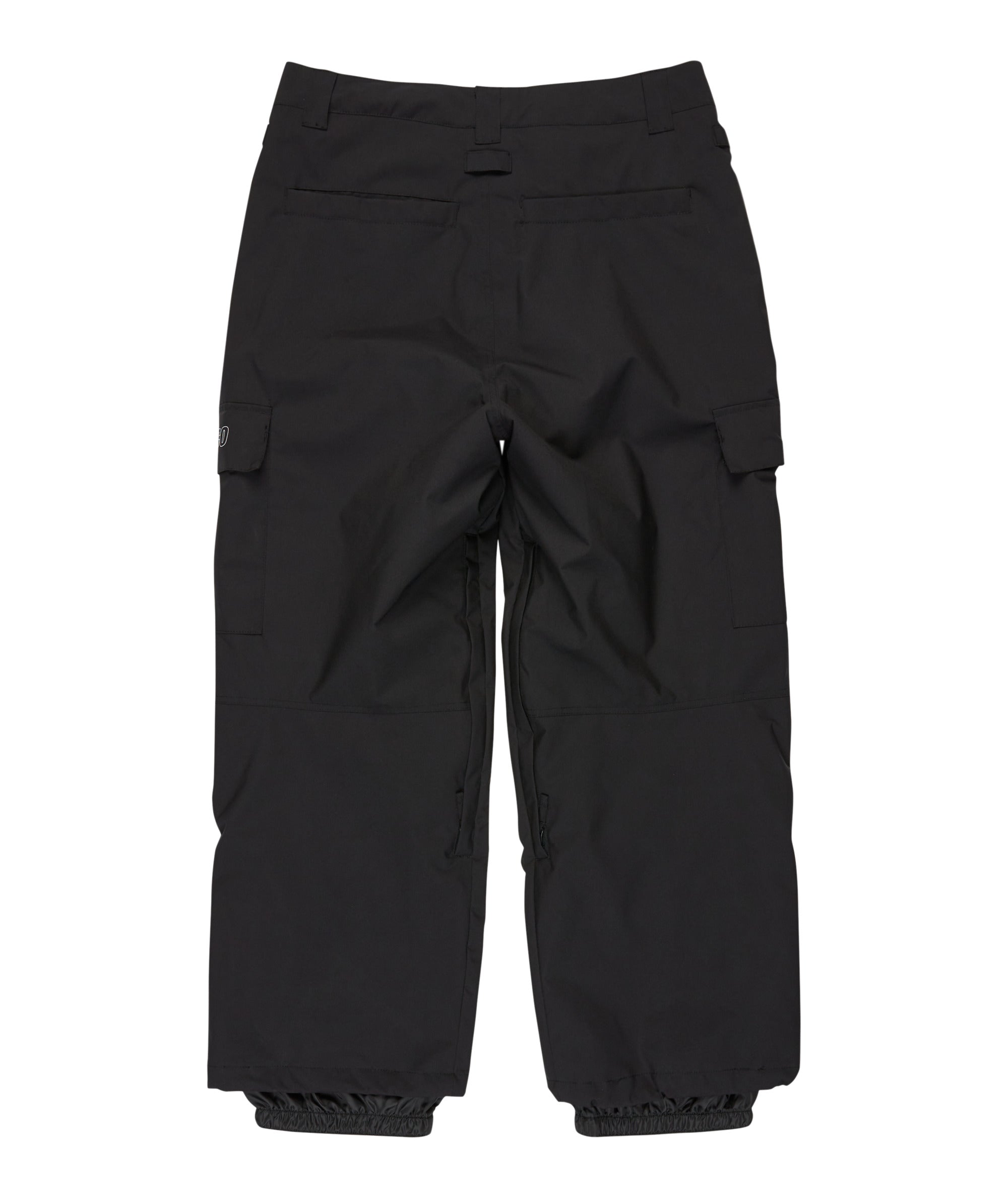 DC Wide Cargo 10K Pant
