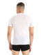 SALE Icebreaker 150 Anatomica Short Sleeve Crew