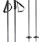 Head Kore Ski Pole