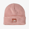 Patagonia Kids Logo Baenie