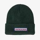 Patagonia Kids Logo Beanie