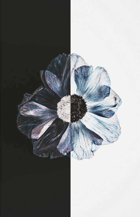 Burton Process Snowboard 2026