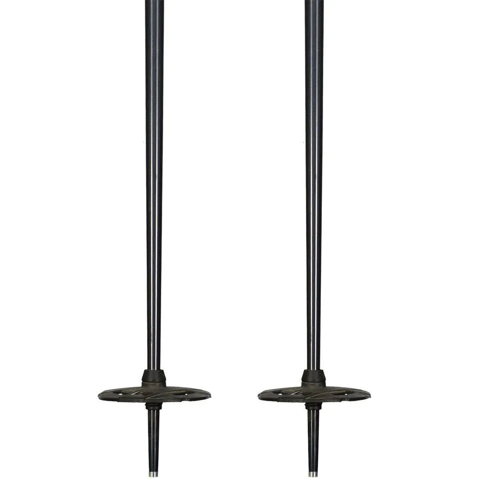 Salomon Hacker Ski Poles – Snowbiz