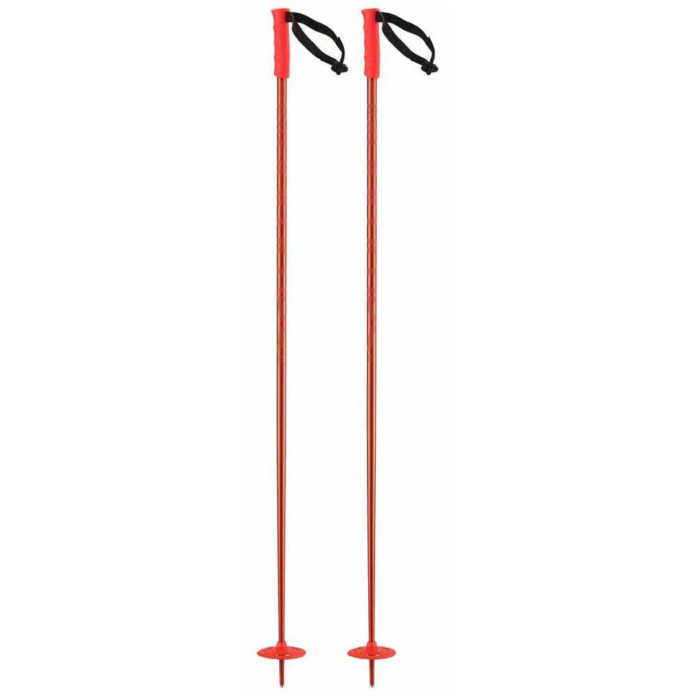 Salomon Hacker Ski Poles