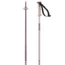 Salomon Polar Ski Poles