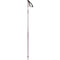 Salomon Polar Ski Poles