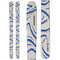 Salomon QST 106 Skis 2026
