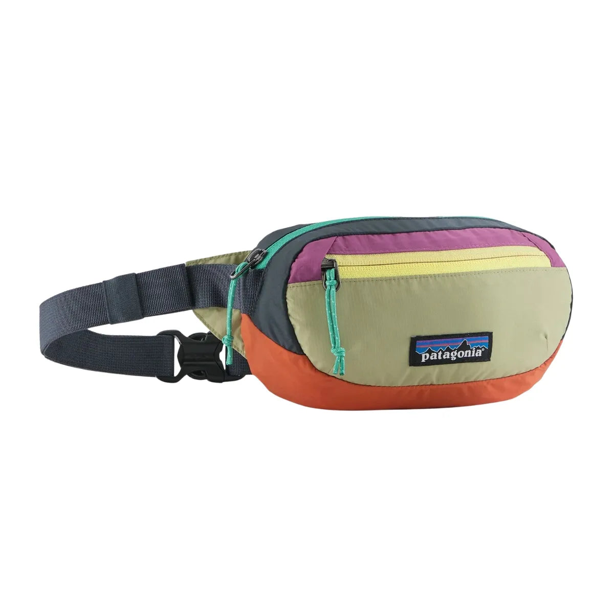 PatagoniaTerravia Mini Hip Pack