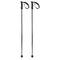Volkl Phantastick Carbon Ski Pole